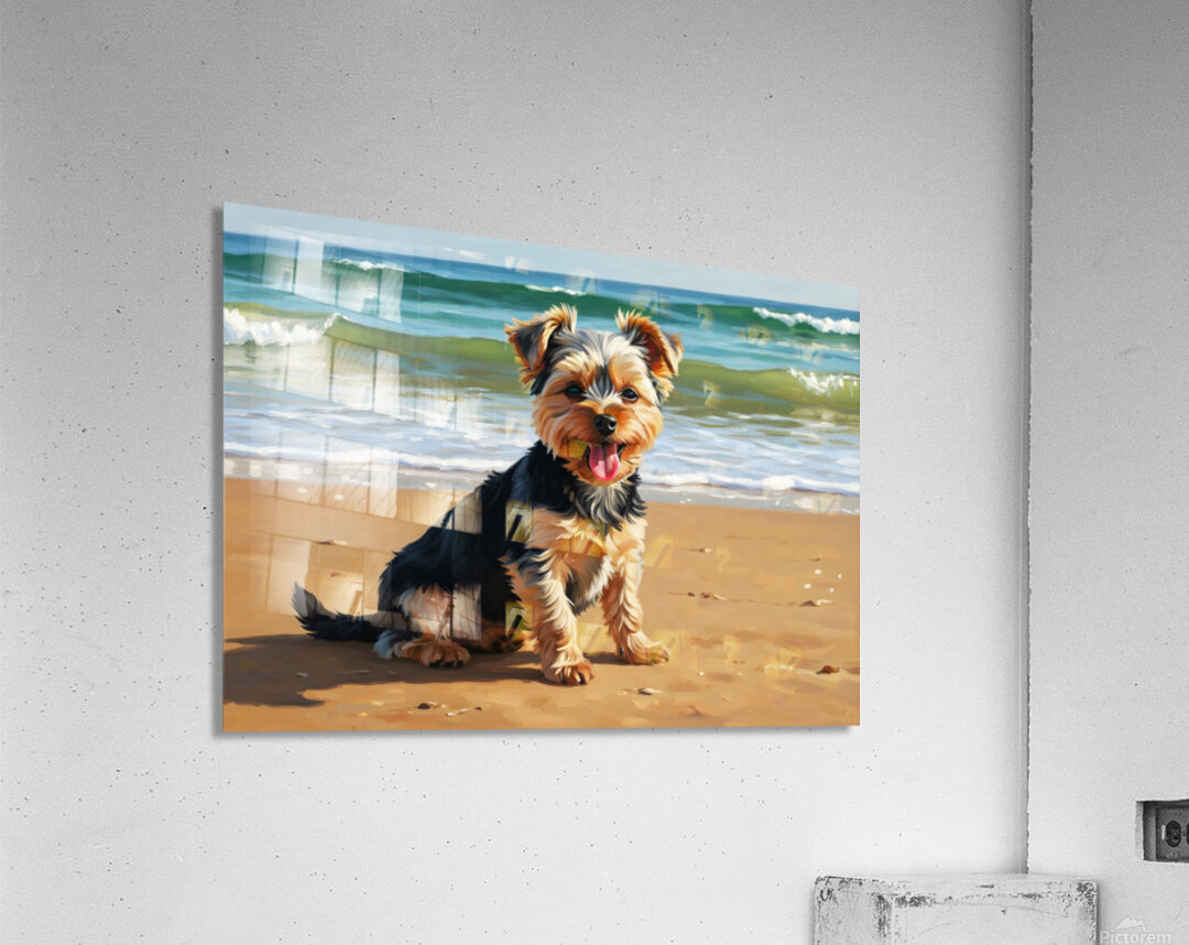 Tired Yorkshire Terrier Puppy Rests On Beach Acrylic Print