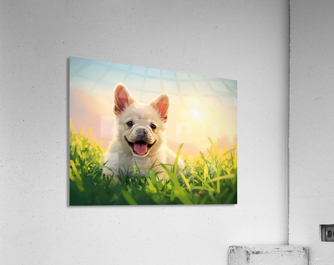 Tired French Bulldog Puppy Resting After Playing Acrylic Print