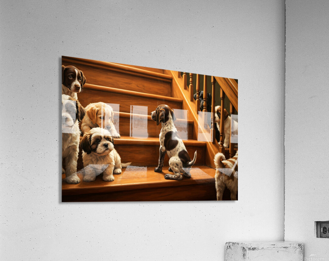 German Shorthaired Pointer Puppy Eyes The Big Challenge Acrylic Print