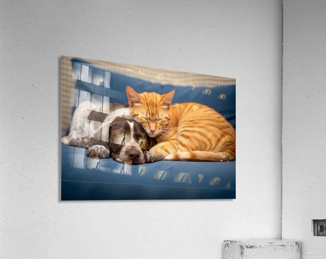 Puppy And Cat Snuggle Together Peacefully Acrylic Print