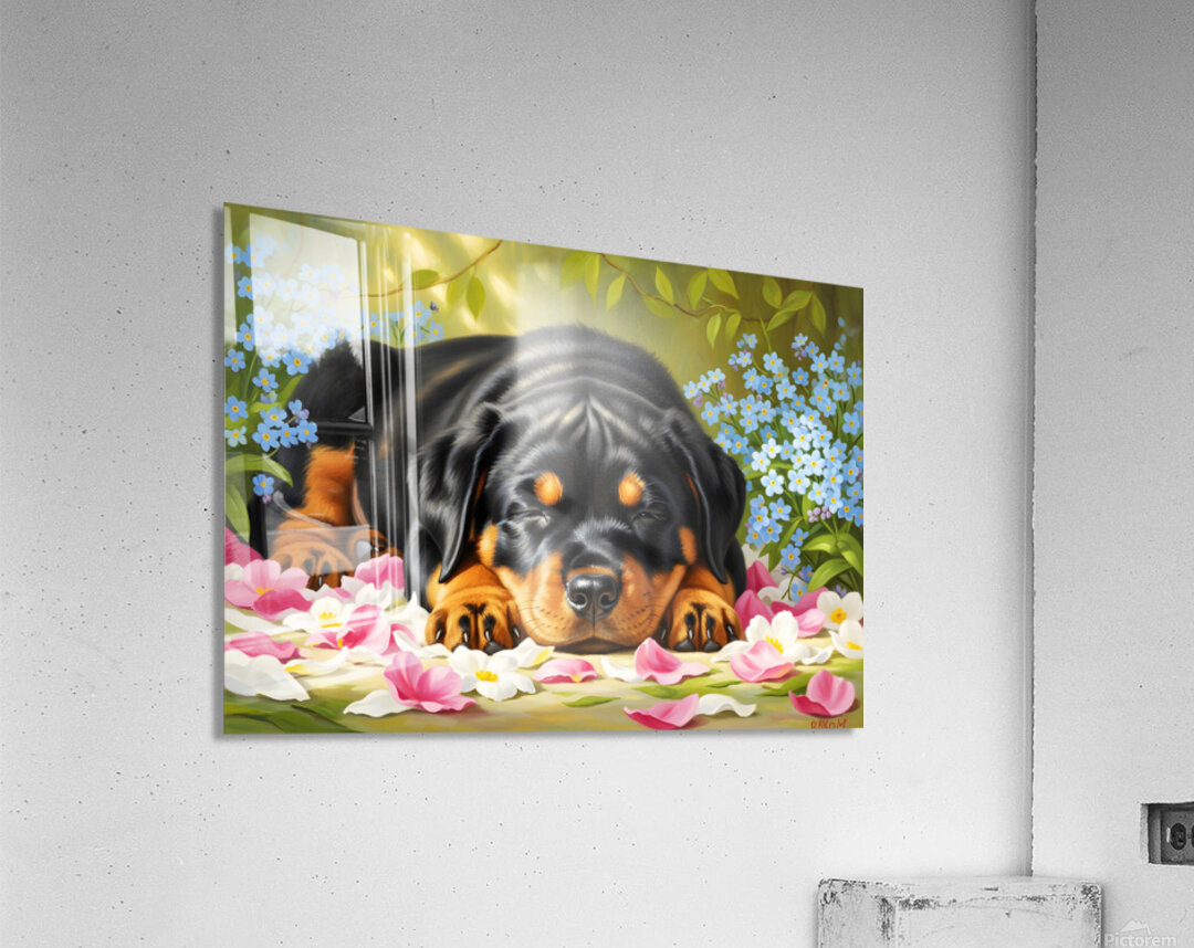 Sleepy Rottweiler Puppy Rests In Flower Bed Acrylic Print