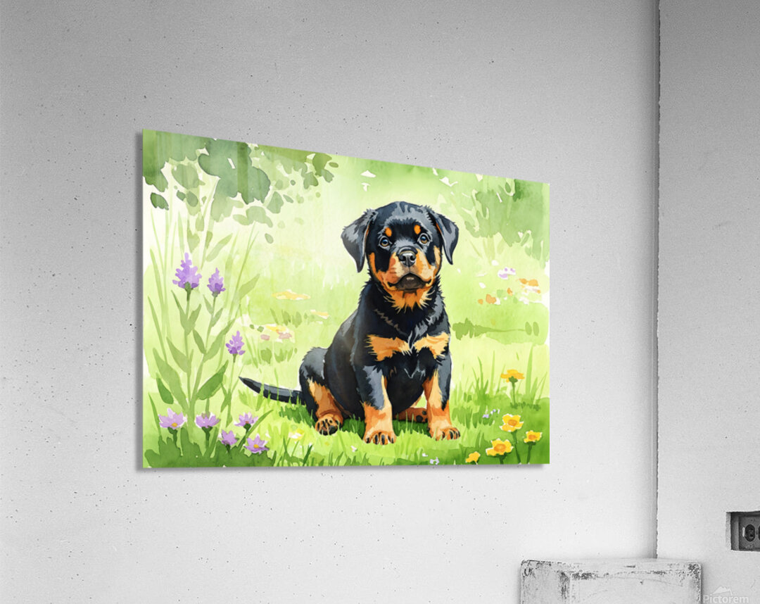 Hopeful Rottweiler Puppy Waits In Garden Acrylic Print