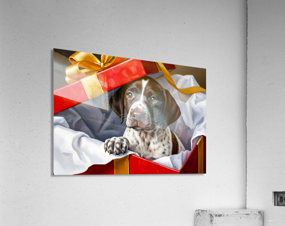 German Shorthaired Pointer Puppy Discovers Big Red Gift Box Acrylic Print