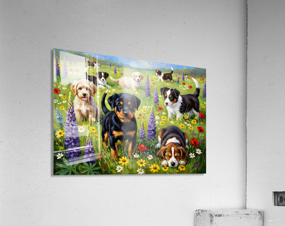 Rottweiler Puppy Discovers Wildflower Field Acrylic Print