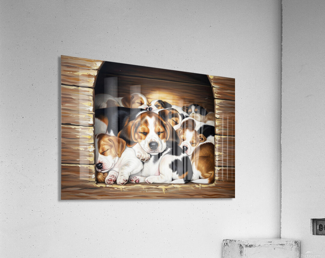 Beagle Puppy Sleeps Peacefully With Puppy Pile Acrylic Print