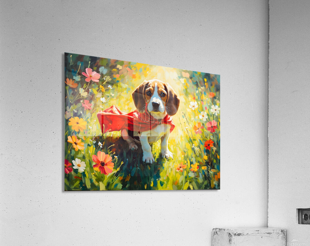 Beagle Puppy Discovers His Magic Cape Acrylic Print