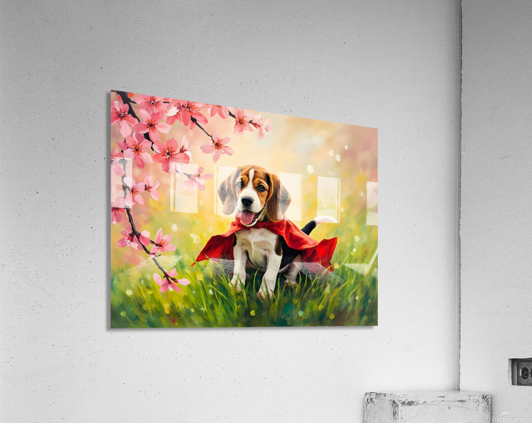 Beagle Puppy Feels Like A True Hero Acrylic Print