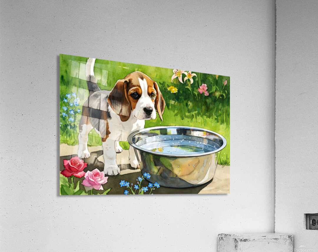 Little Beagle Puppy Discovers Water Bowl Acrylic Print