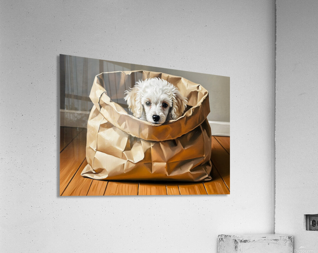 Poodle Puppy Discovers A Paper Bag Adventure Acrylic Print