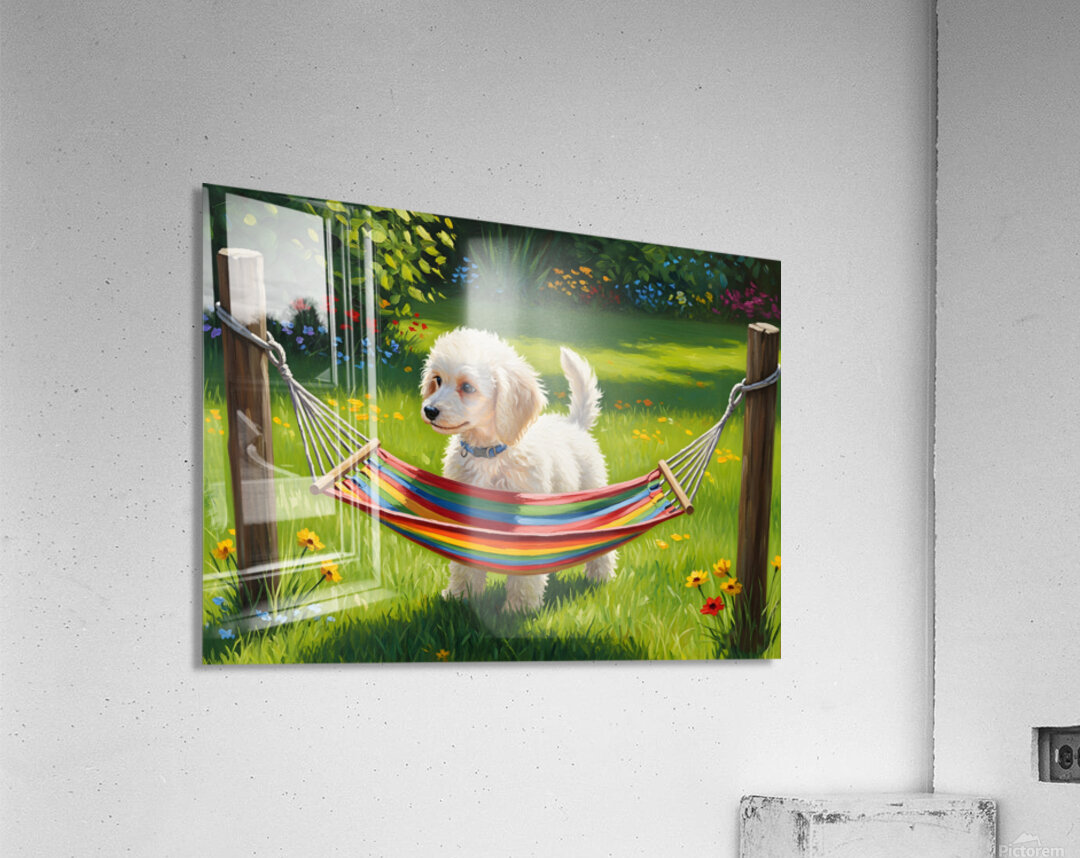 Poodle Puppy Discovers Tiny Hammock Acrylic Print