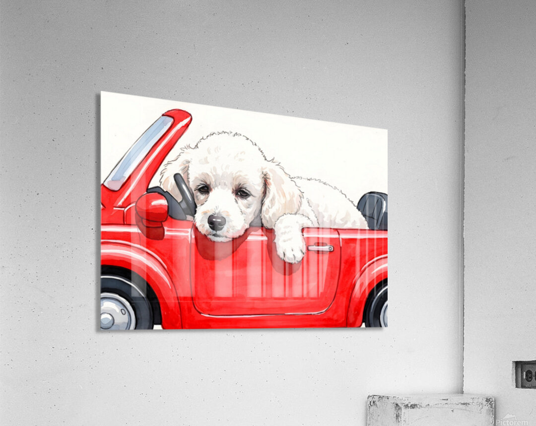 Sleepy Poodle Puppy Rests After Exciting Car Adventure Acrylic Print