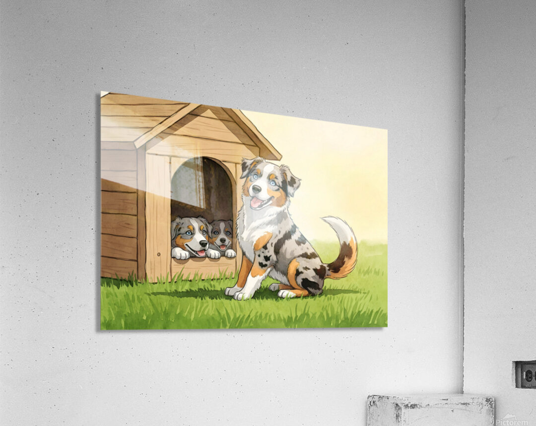 Happy Australian Shepherd Puppy Free From Crowded House Acrylic Print