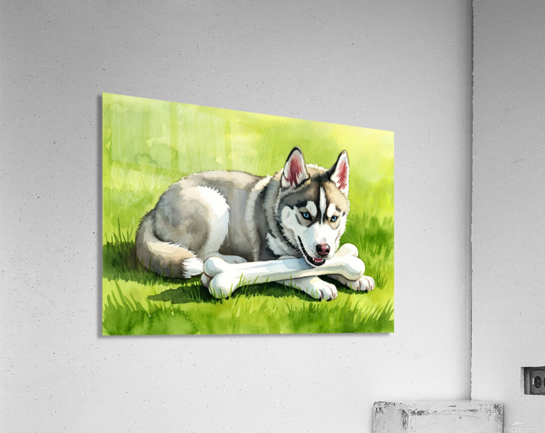 Content Husky Puppy Enjoys Victory With Bone Acrylic Print