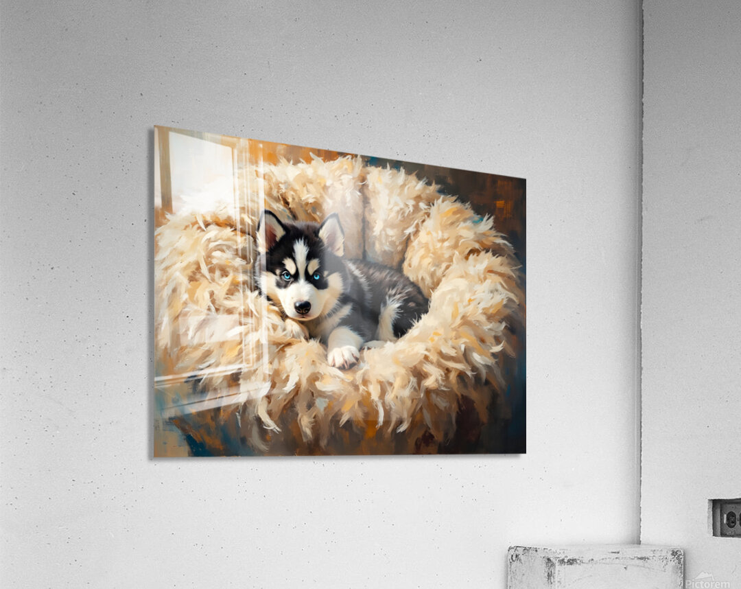 Little Husky Puppy Discovers Giant Cozy Dog Bed Acrylic Print