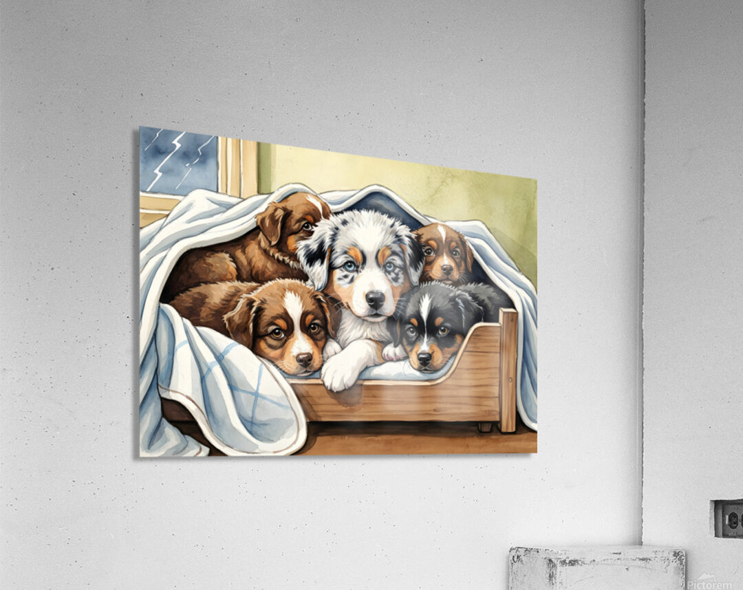 Australian Shepherd Puppy Seeks Comfort During Storm Acrylic Print