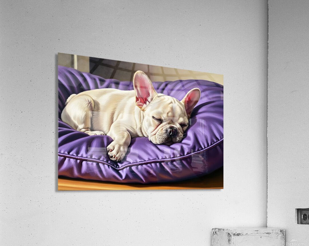French Bulldog Puppy Sleeping Peacefully On Purple Pillow Acrylic Print