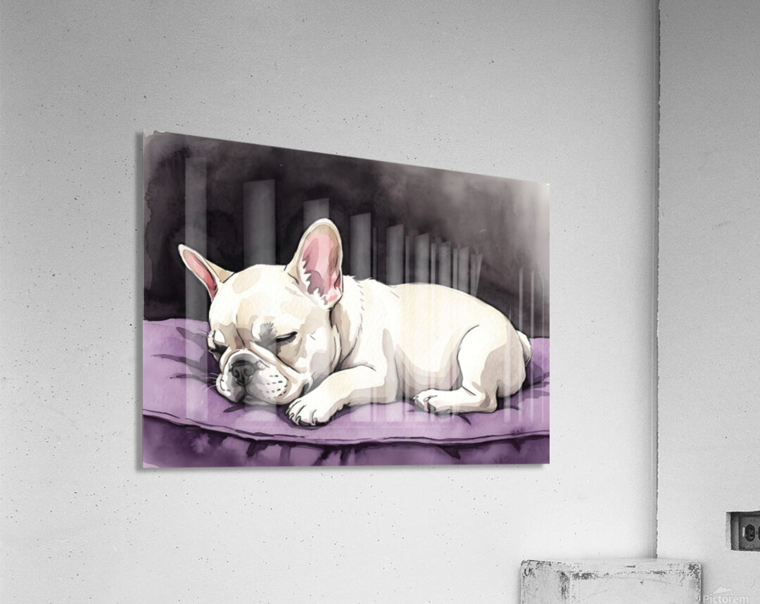 French Bulldog Puppy Sleeps Peacefully Through Night Acrylic Print
