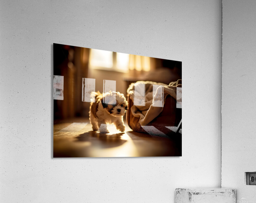 Sleepy Shih Tzu Puppy Ready For Bedtime Acrylic Print