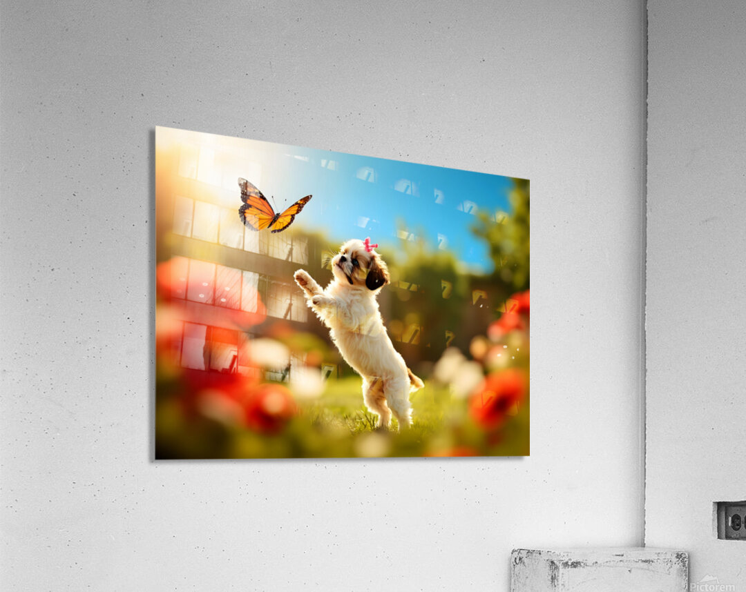 Shih Tzu Puppy Discovers Beautiful Butterfly In Garden Acrylic Print