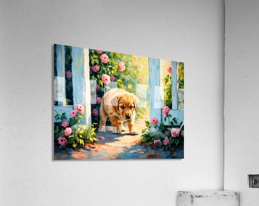Happy Labrador Retriever Puppy Emerging From Behind Brick Wall Acrylic Print