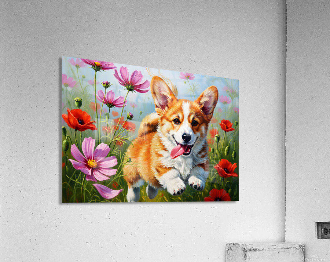 Corgi Puppy Discovers Magical Wildflower Meadow Acrylic Print