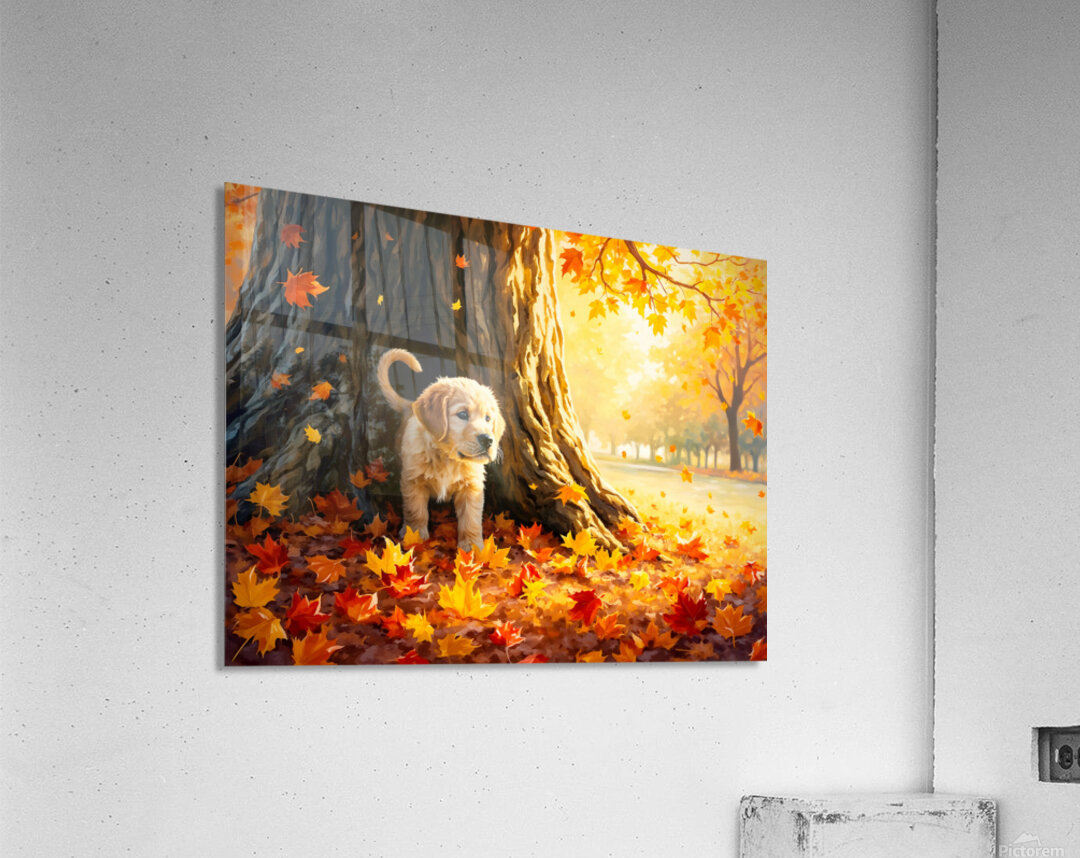 Curious Labrador Puppy Peeking Around Garden Corner Acrylic Print