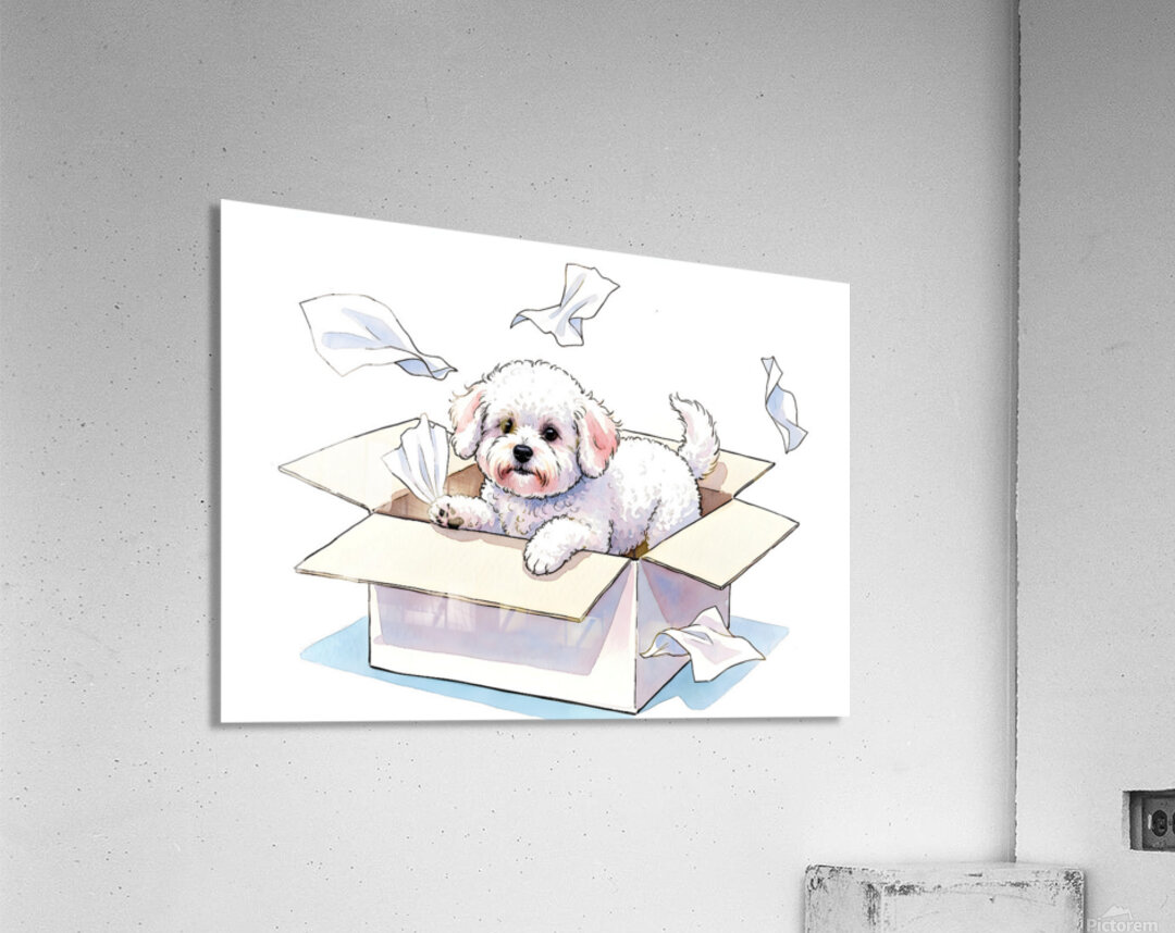 Bichon Frise Puppy Discovers Tissue Box Adventure Acrylic Print