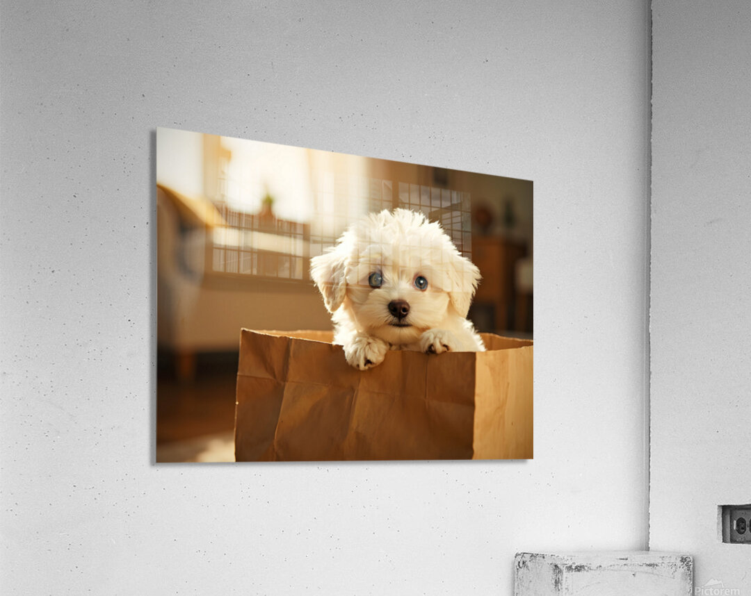 Bichon Frise Puppy Hiding In Paper Bag Acrylic Print