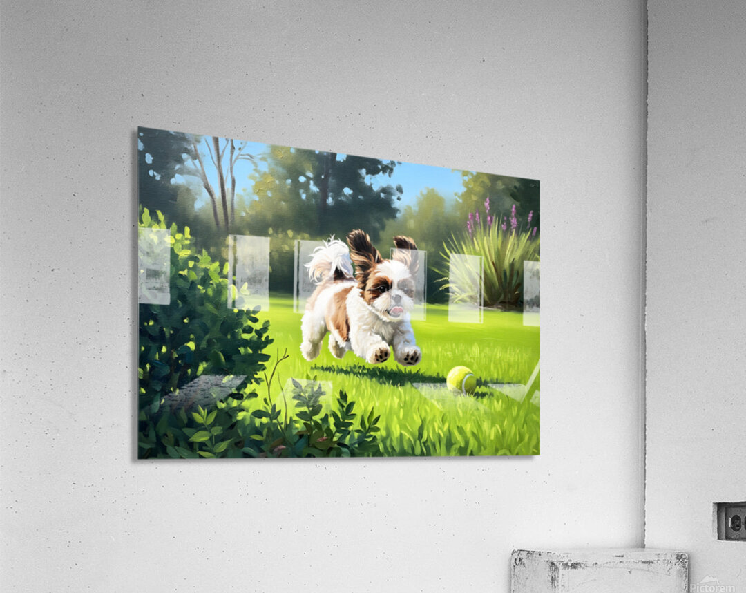 Shih Tzu Puppy Spots The Perfect Tennis Ball Acrylic Print