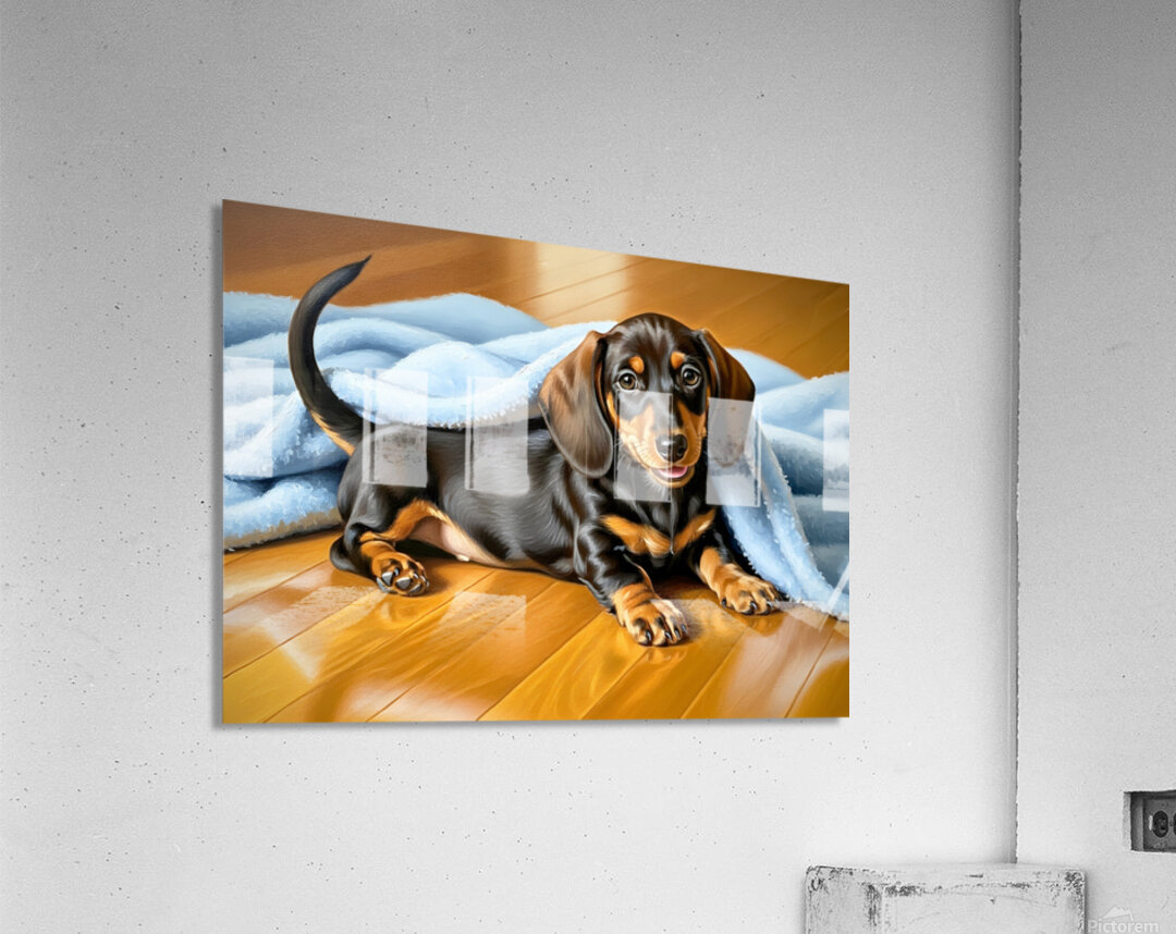 Sleepy Dachshund Puppy Napping Under Cozy Blue Blanket Acrylic Print