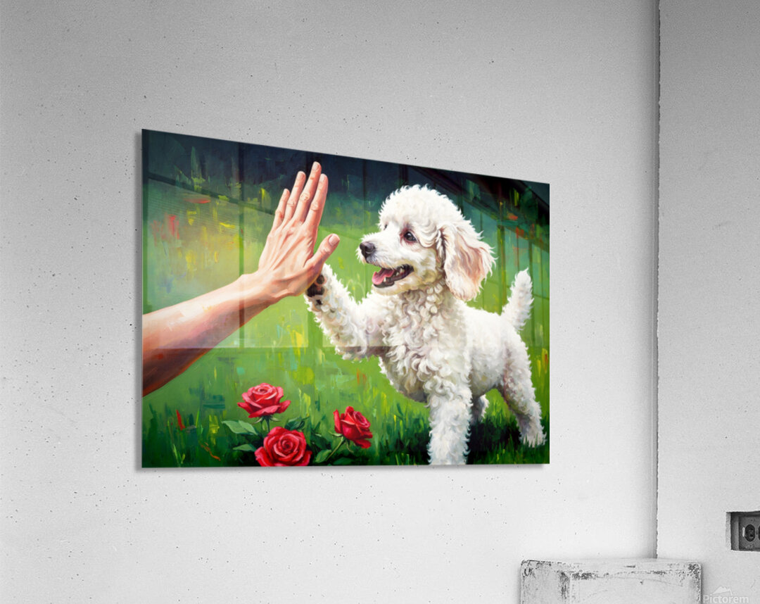 Triumphant Poodle Puppy Celebrates Success Acrylic Print