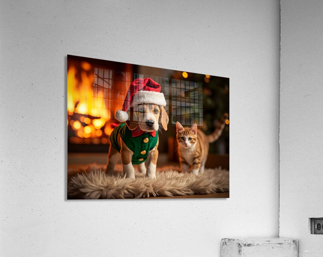 Beagle Puppy Rests After Holiday Adventures Acrylic Print