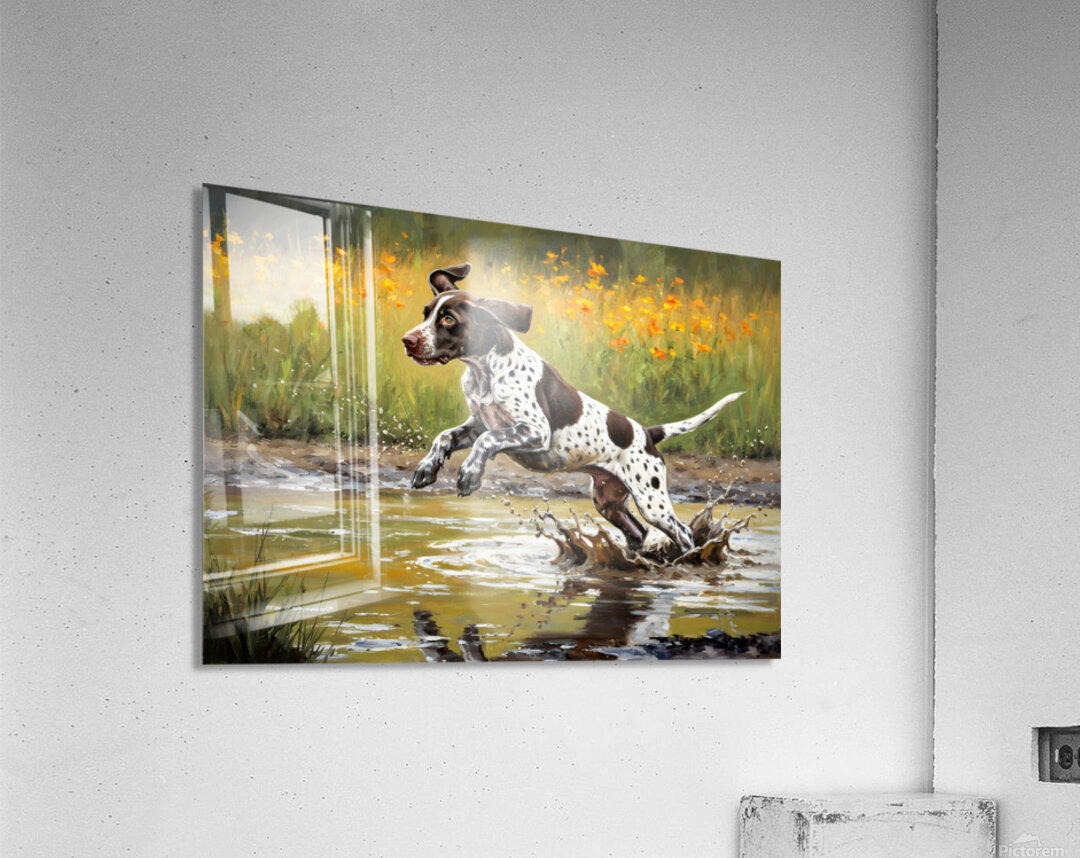 Happy Muddy German Shorthaired Pointer Puppy After Puddle Adventure Acrylic Print