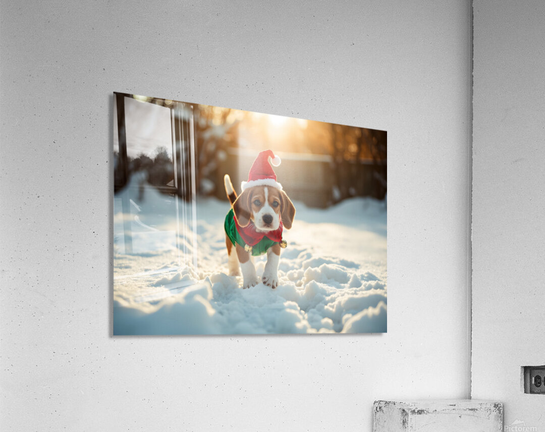 Beagle Puppy Gets Ready For Holiday Fun Acrylic Print