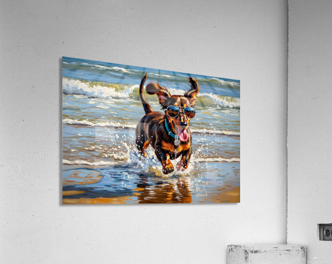 Dachshund Puppys Beach Adventure Begins With Cool Sunglasses Acrylic Print