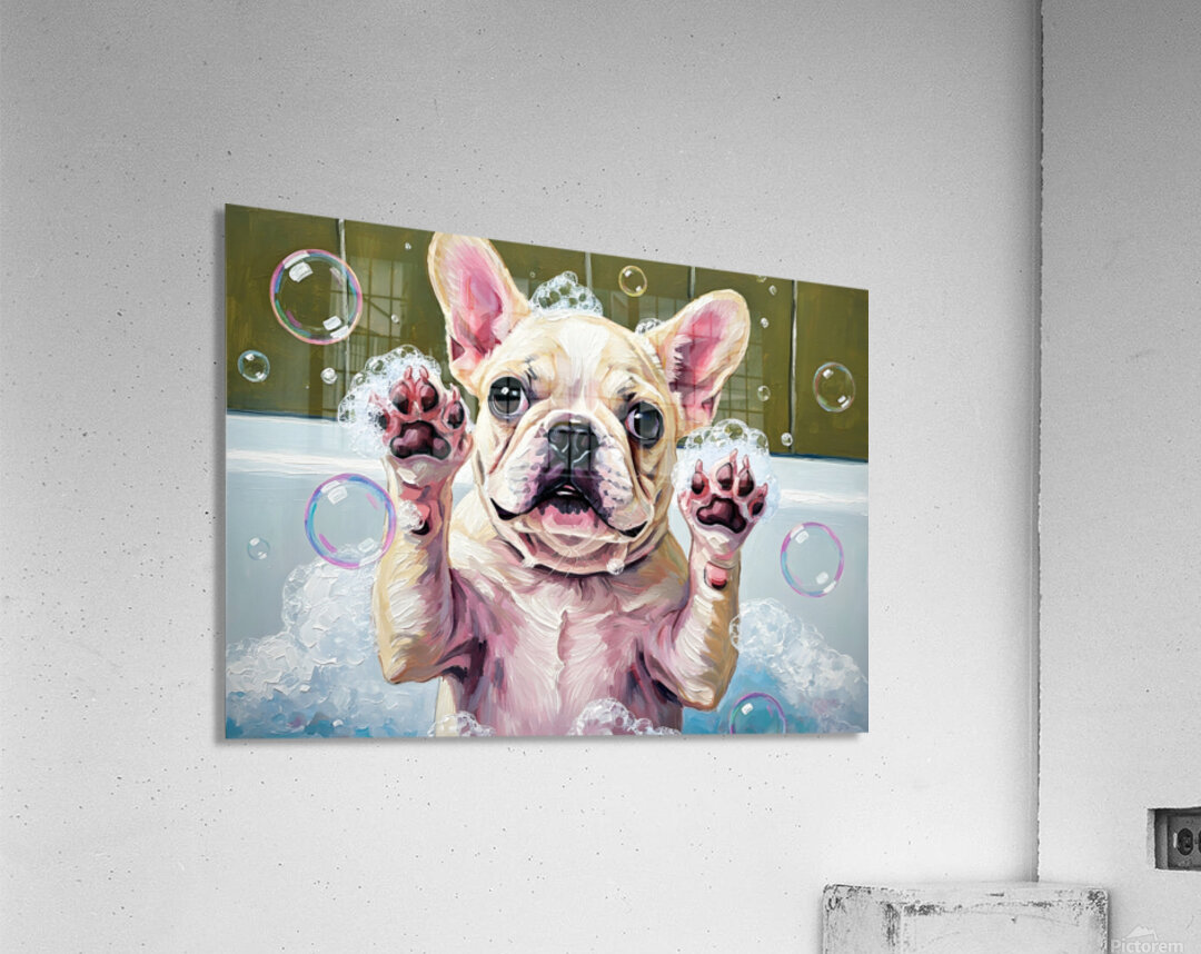 French Bulldog Puppys Bubble Bath Adventure Begins Acrylic Print