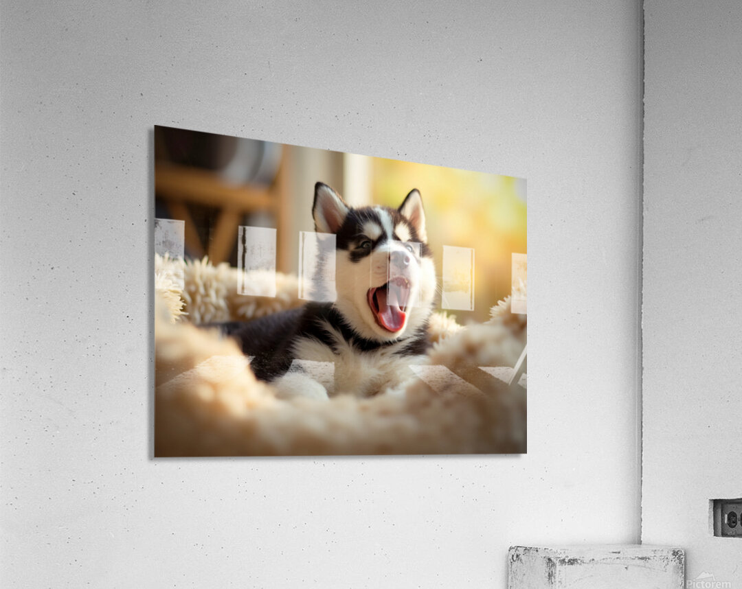 Sleepy Siberian Husky Puppy Dreams In Cozy Bed Acrylic Print