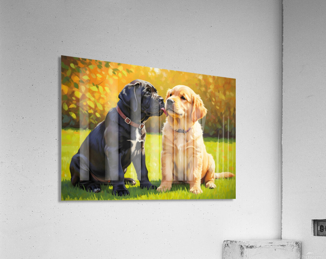 Cane Corso Puppy Meets New Friend In Garden Acrylic Print