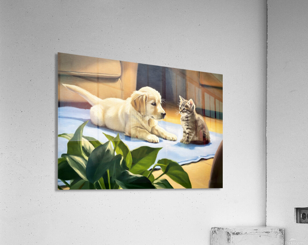 Golden Retriever Puppy Meets New Kitten Friend Acrylic Print