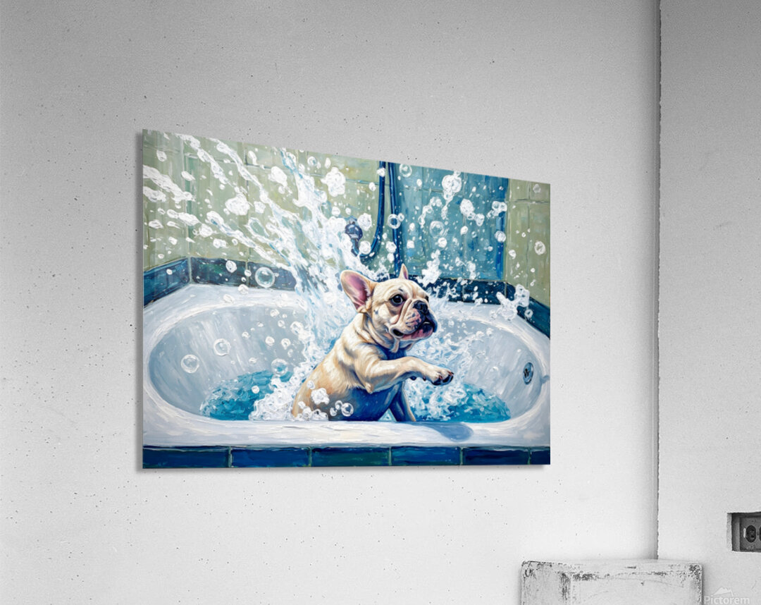 Clean French Bulldog Puppy After Bubble Bath Victory Acrylic Print