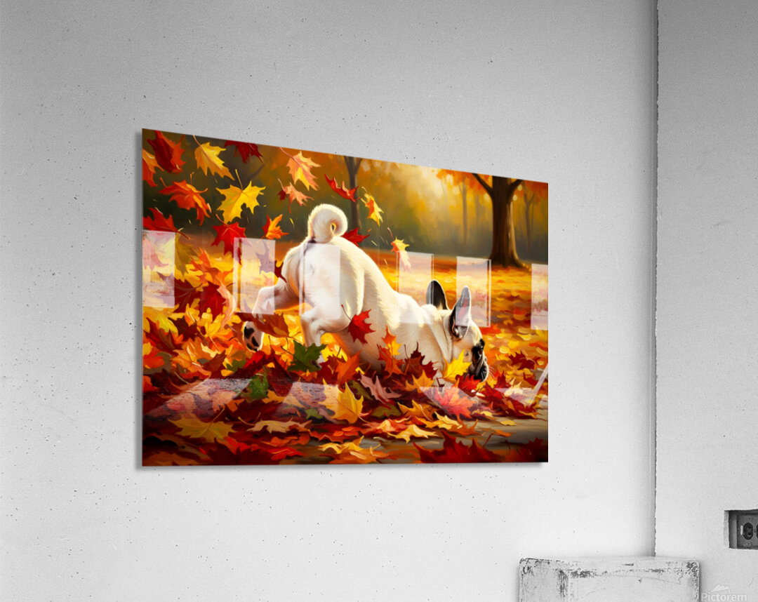 French Bulldog Puppy Discovers Autumn Leaf Pile Acrylic Print