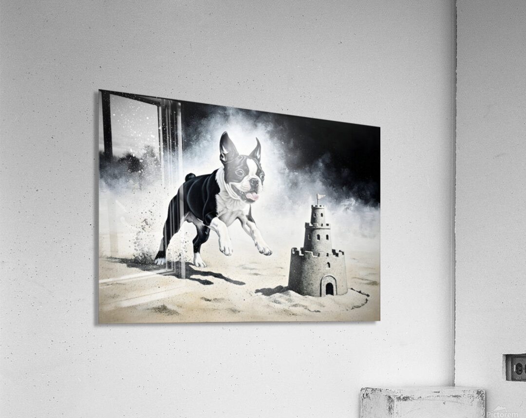 Boston Terrier Puppy Discovers Amazing Sand Castle Acrylic Print