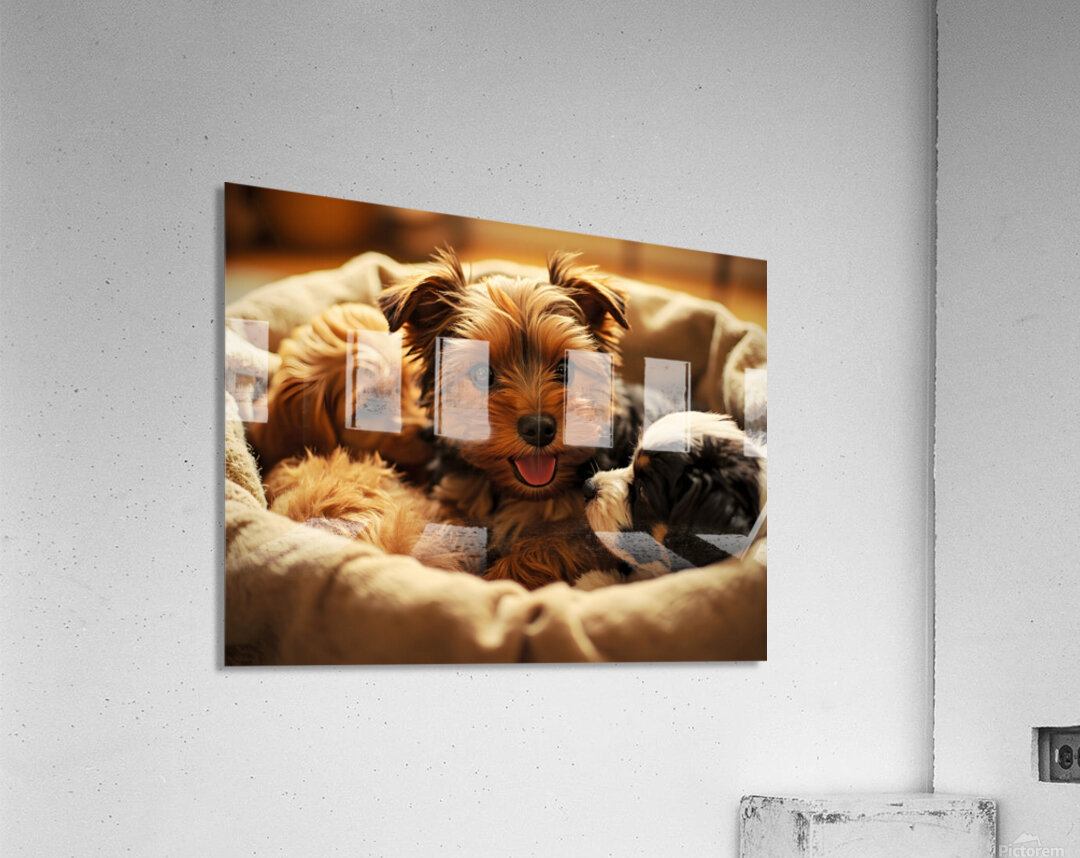 Yorkshire Terrier Puppy In Cozy Laundry Basket With Friends Acrylic Print