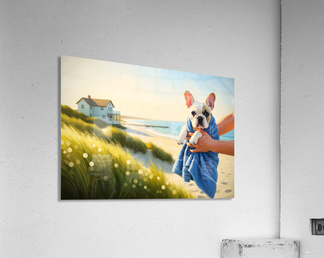 French Bulldog Puppy Wrapped In Beach Towel After Swimming Acrylic Print