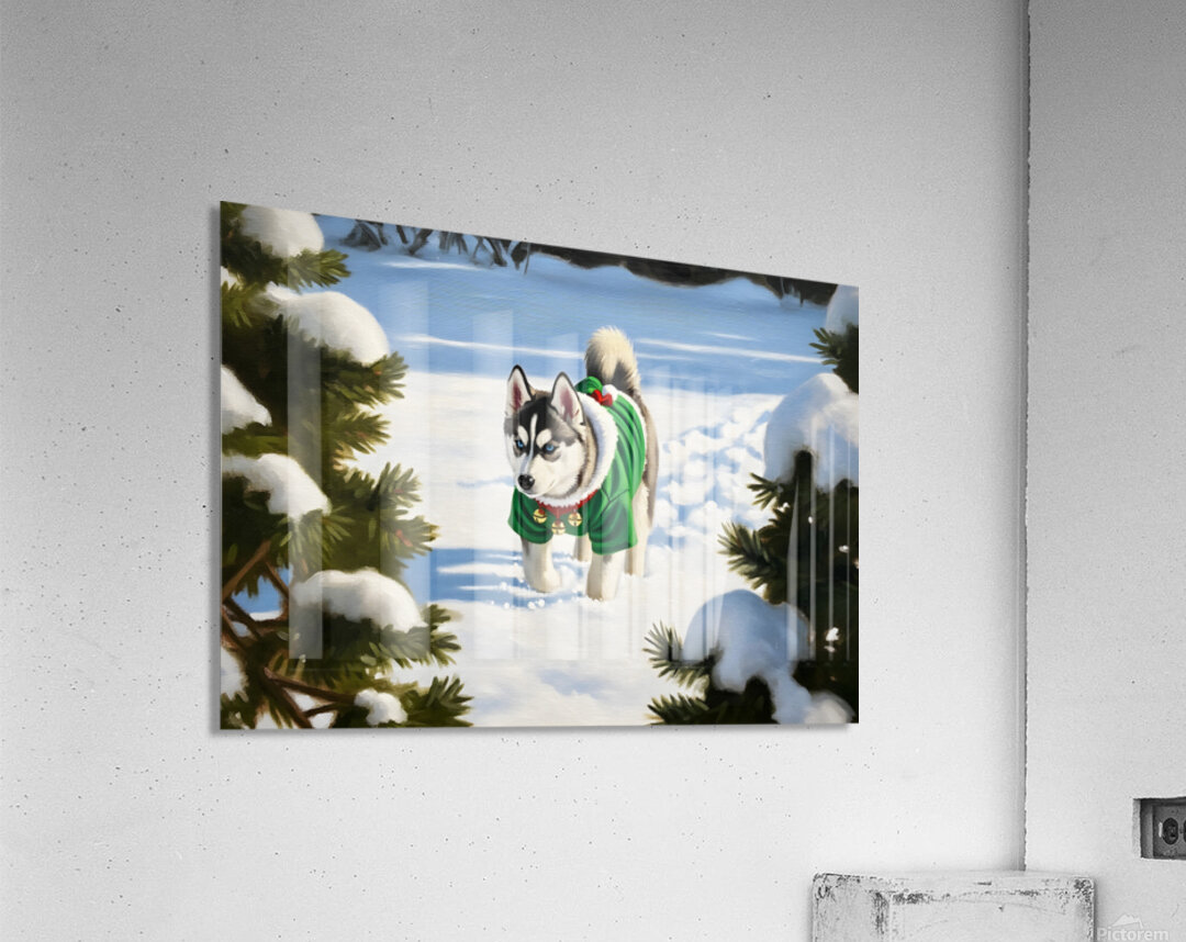 Siberian Husky Puppy In Red Holiday Costume Indoors Acrylic Print