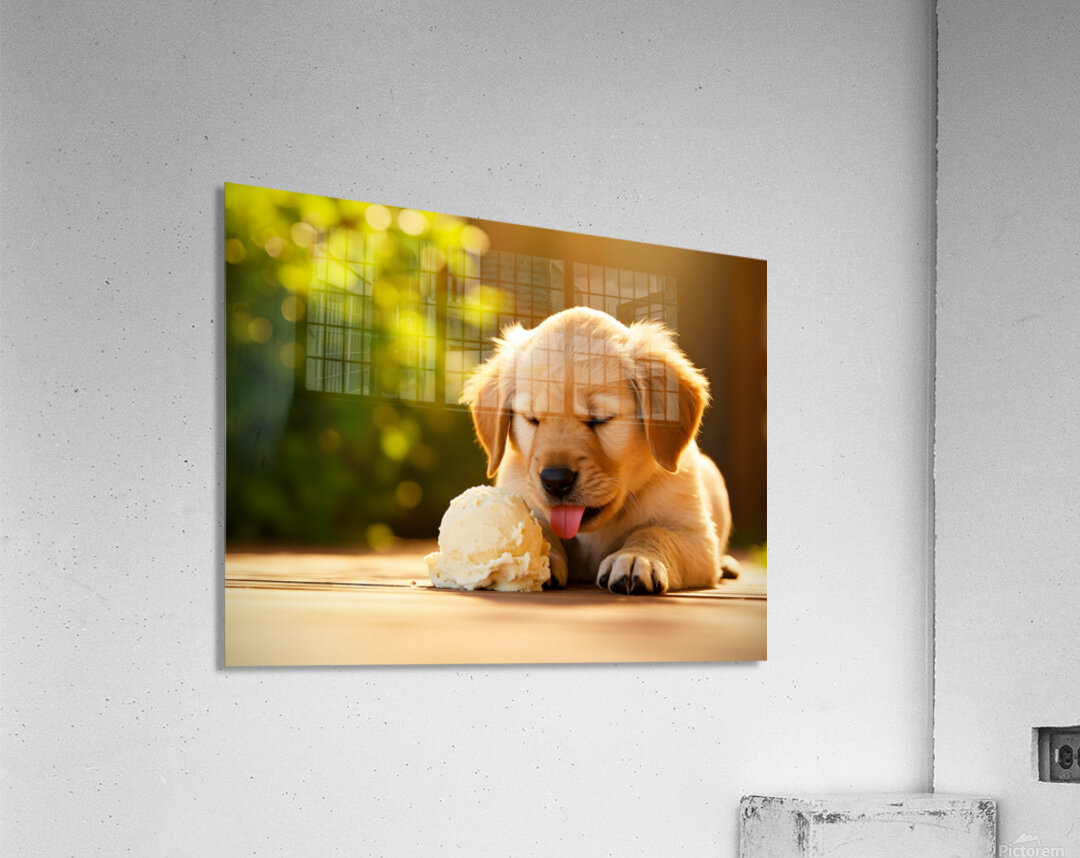Golden Retriever Puppy Discovers Ice Cream Treat Acrylic Print
