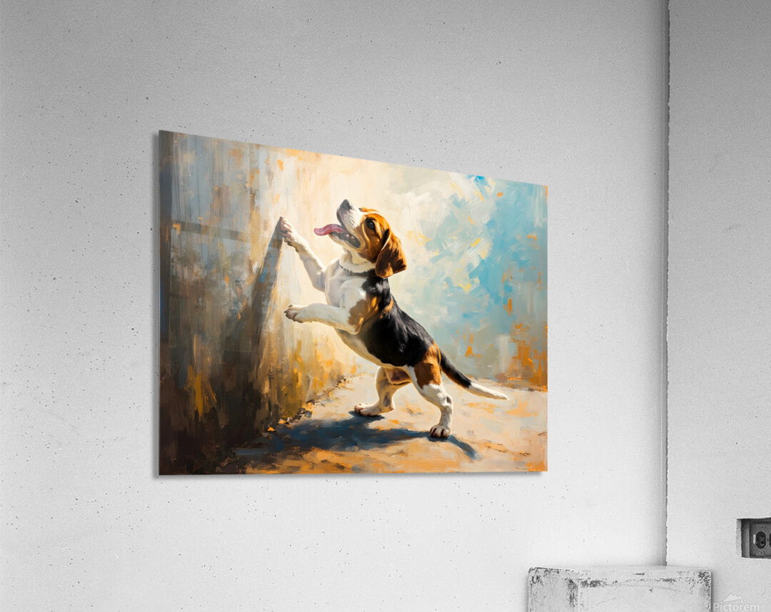 Beagle Puppy Discovers Dancing Wall Shadows Acrylic Print