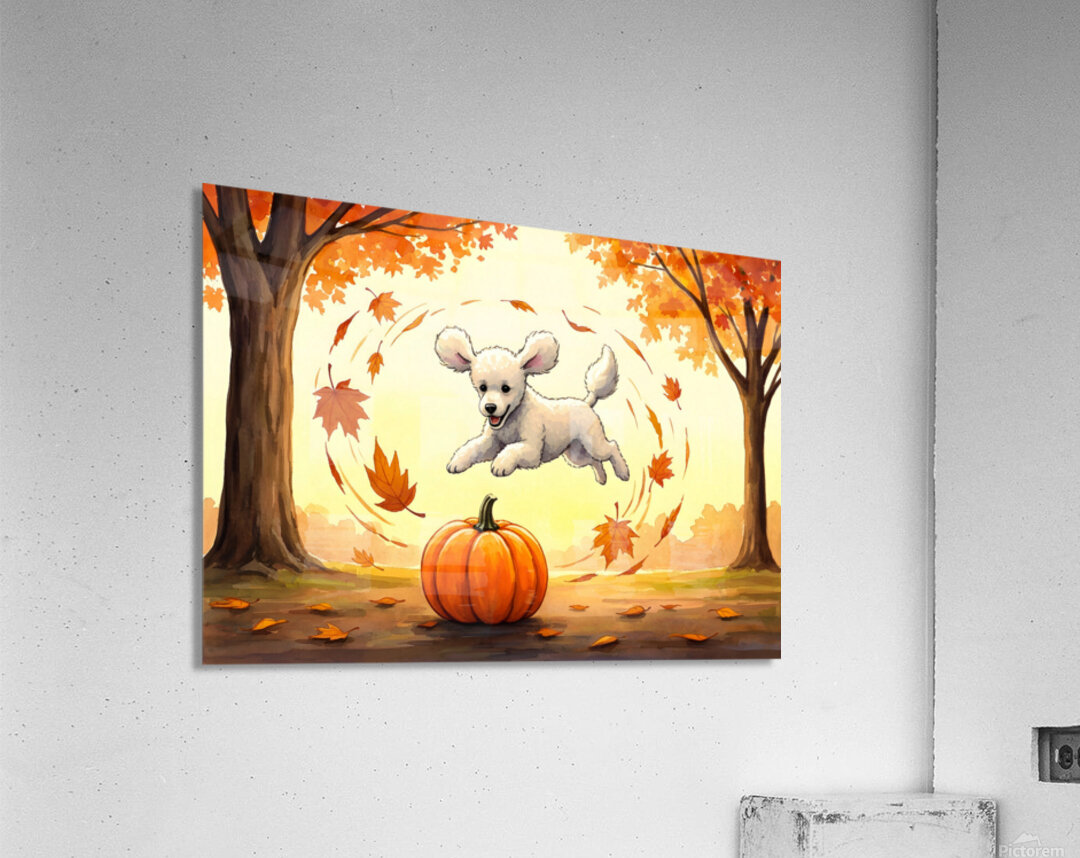 Poodle Puppy Rests After Pumpkin Patch Adventure Acrylic Print