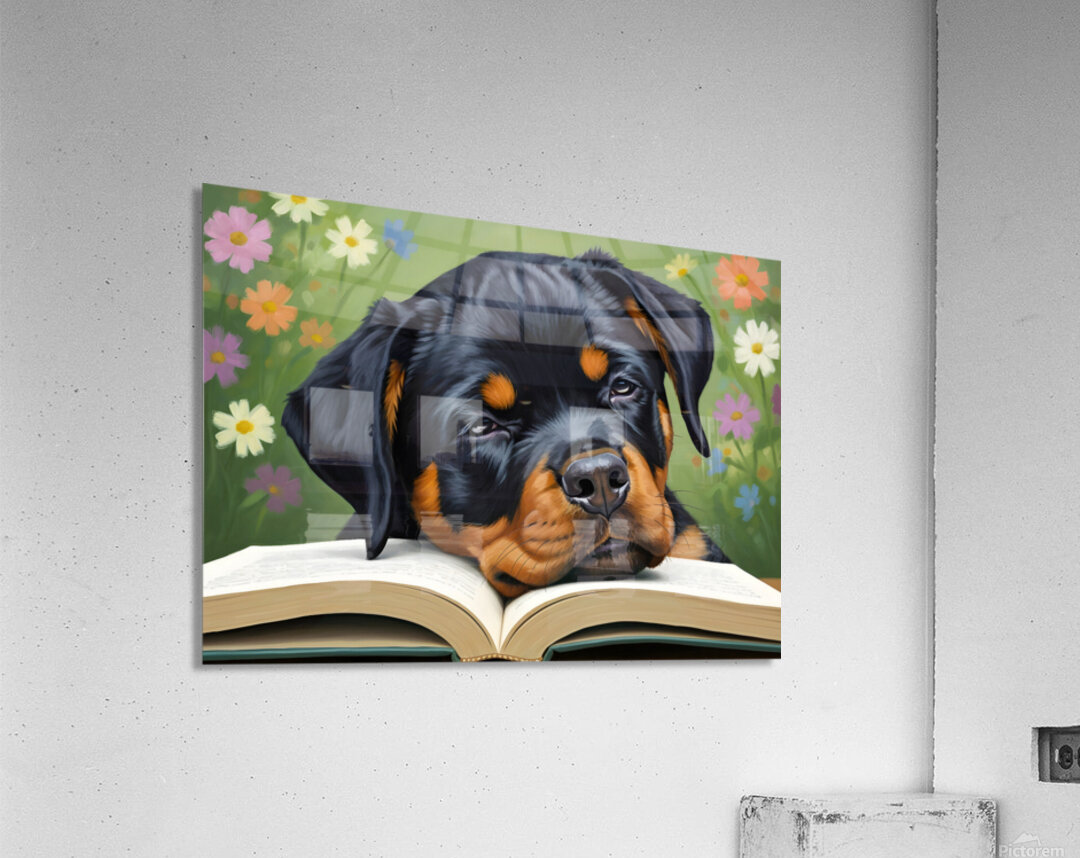 Sleepy Rottweiler Puppy Dreams Over Open Book Acrylic Print