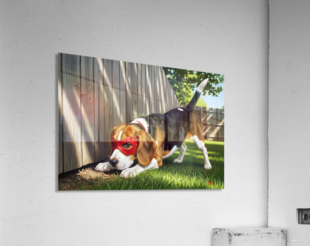 Beagle Puppy Discovers His Superhero Mask Acrylic Print